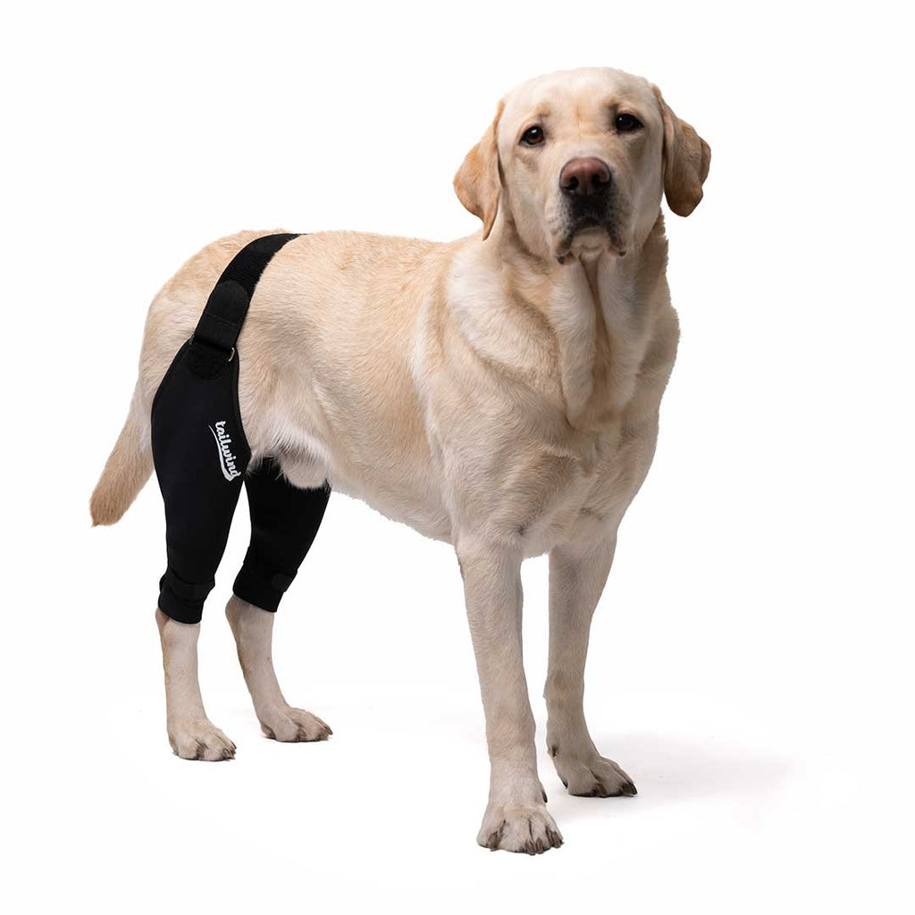 Double Knee Brace for Dogs Cruciate Support